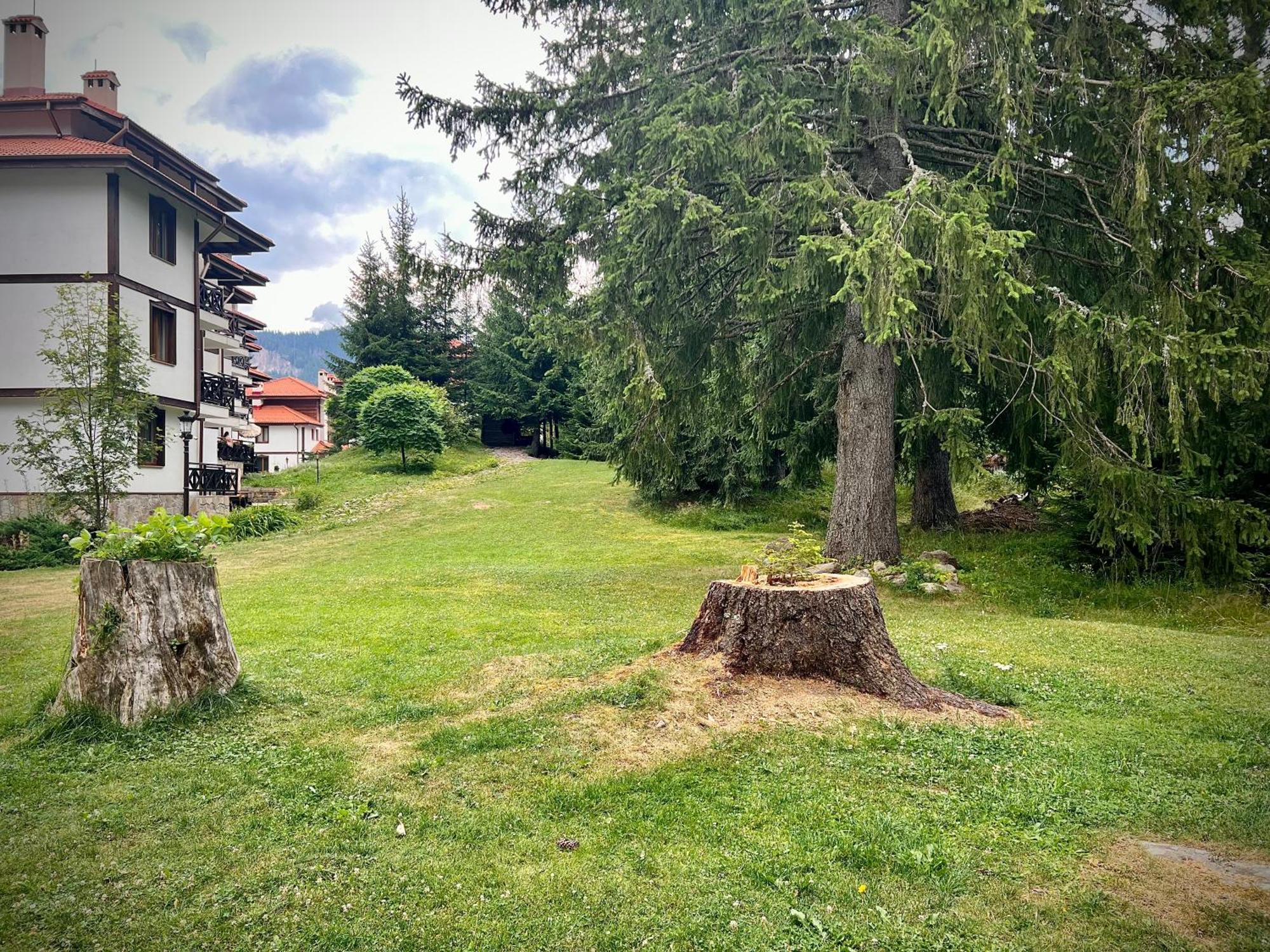 Relax Aпартаменти, Смолянски Езера, Вила Венера, К-С Маунтин Лейк Dış mekan fotoğraf