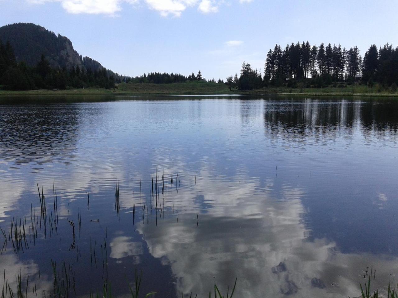 Relax Aпартаменти, Смолянски Езера, Вила Венера, К-С Маунтин Лейк Dış mekan fotoğraf